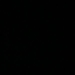 Meet your Posher, Macy